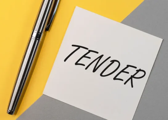 portfolio for tenderyetu.com