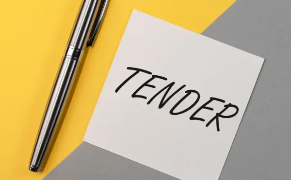 portfolio for tenderyetu.com