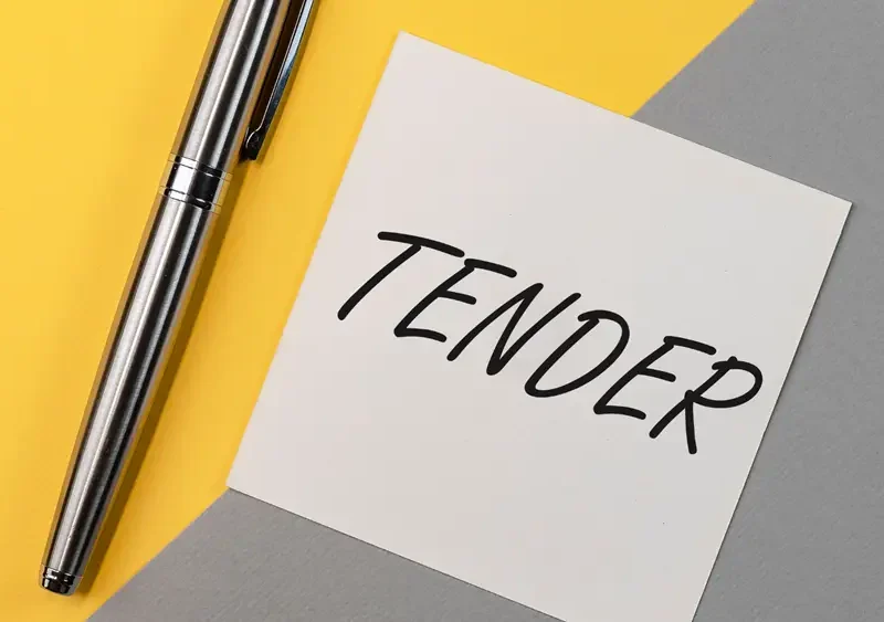 portfolio for tenderyetu.com